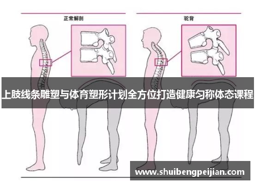 上肢线条雕塑与体育塑形计划全方位打造健康匀称体态课程